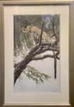 Fine Artwork On Sale Fine Artwork On Sale Bushwhacker (SN) 